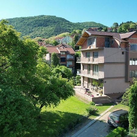 Guest House Dimitrije Niska Banja Exterior foto
