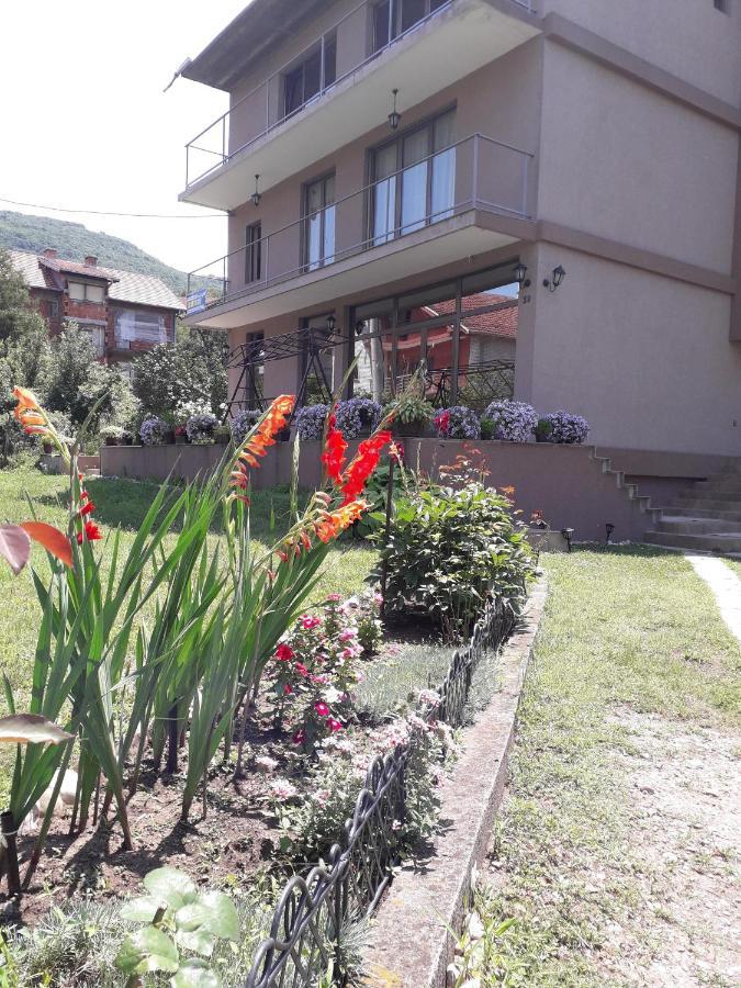 Guest House Dimitrije Niska Banja Exterior foto