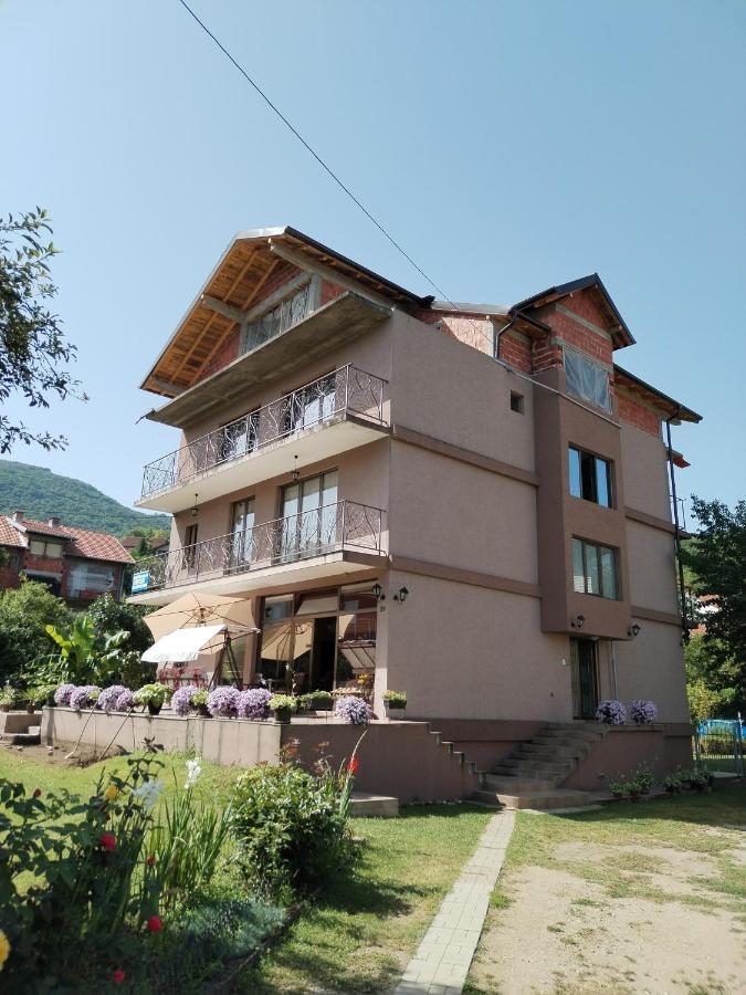 Guest House Dimitrije Niska Banja Exterior foto